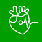 Cardiac Recovery
